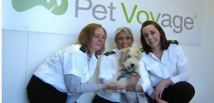 Pet voyage Staff with a dog